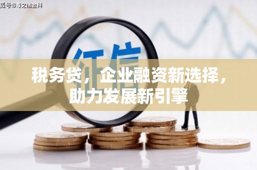 蕲春税务贷，企业融资新选择，助力发展新引擎