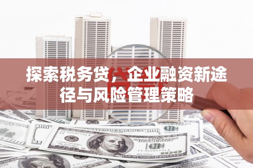 蕲春探索税务贷，企业融资新途径与风险管理策略