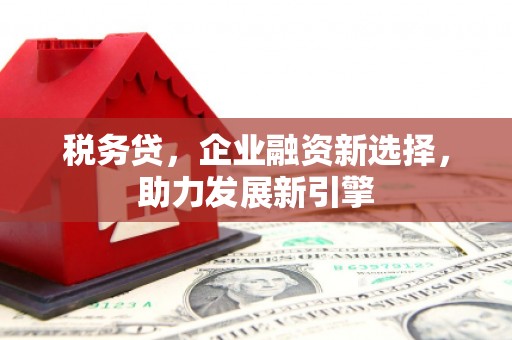 蕲春税务贷，企业融资新选择，助力发展新引擎