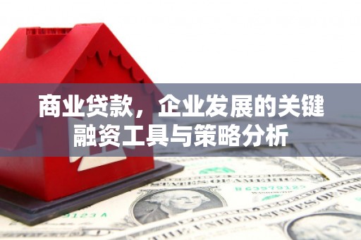 蕲春商业贷款，企业发展的关键融资工具与策略分析