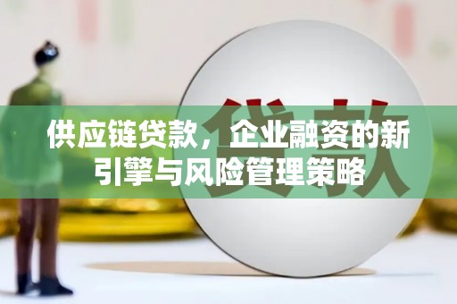 蕲春供应链贷款，企业融资的新引擎与风险管理策略