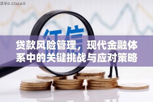 蕲春贷款风险管理，现代金融体系中的关键挑战与应对策略