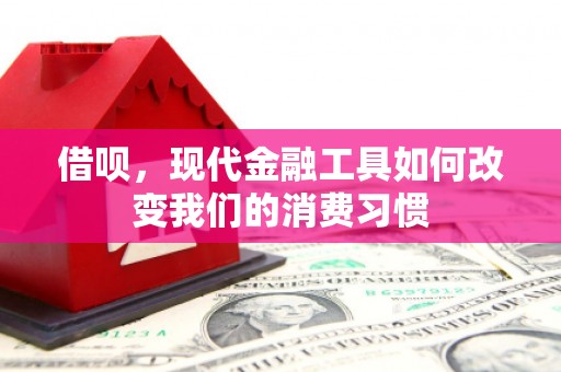 蕲春借呗，现代金融工具如何改变我们的消费习惯