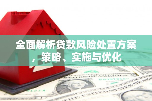 蕲春全面解析贷款风险处置方案，策略、实施与优化