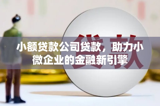 蕲春小额贷款公司贷款，助力小微企业的金融新引擎