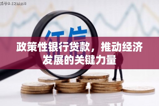 蕲春政策性银行贷款，推动经济发展的关键力量