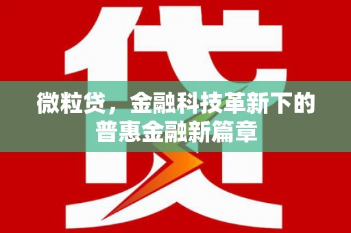 蕲春微粒贷，金融科技革新下的普惠金融新篇章