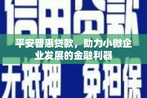 蕲春平安普惠贷款，助力小微企业发展的金融利器
