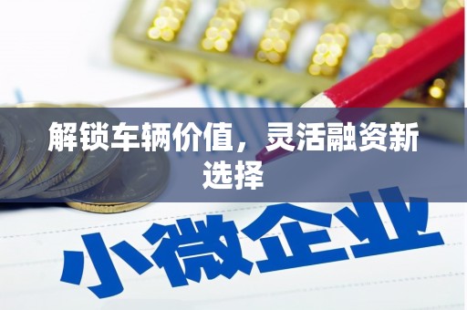 蕲春解锁车辆价值，灵活融资新选择